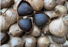 Membongkar Mitos dan Fakta Seputar Black Garlic