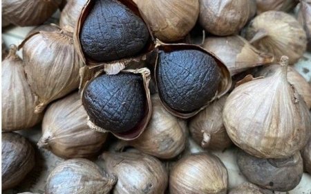 Membongkar Mitos dan Fakta Seputar Black Garlic