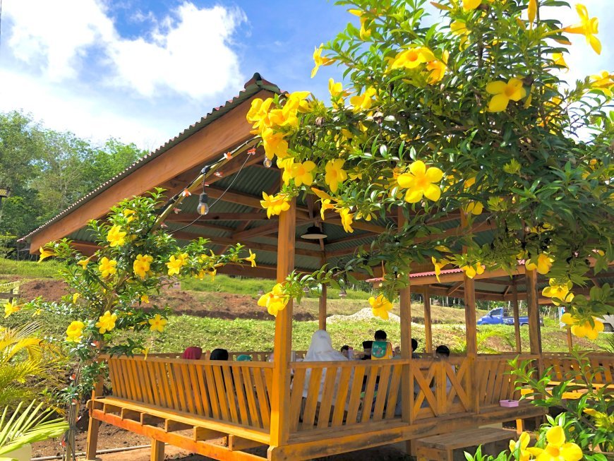 Santri TK Akhlak Cendekia Muslim Nikmati Makan Siang di Saung dengan Suasana Alam yang Sejuk