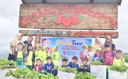 Kegiatan Studytour SD Akhlak Cendekia Muslim ke Alahan Panjang, Kabupaten Solok: Pengalaman Seru di Alam yang Indah