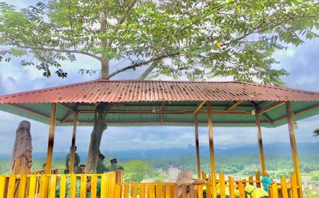 Santri SD Akhlak Cendekia Muslim Semangat Belajar di Rumah Pohon Cendekia Muslim
